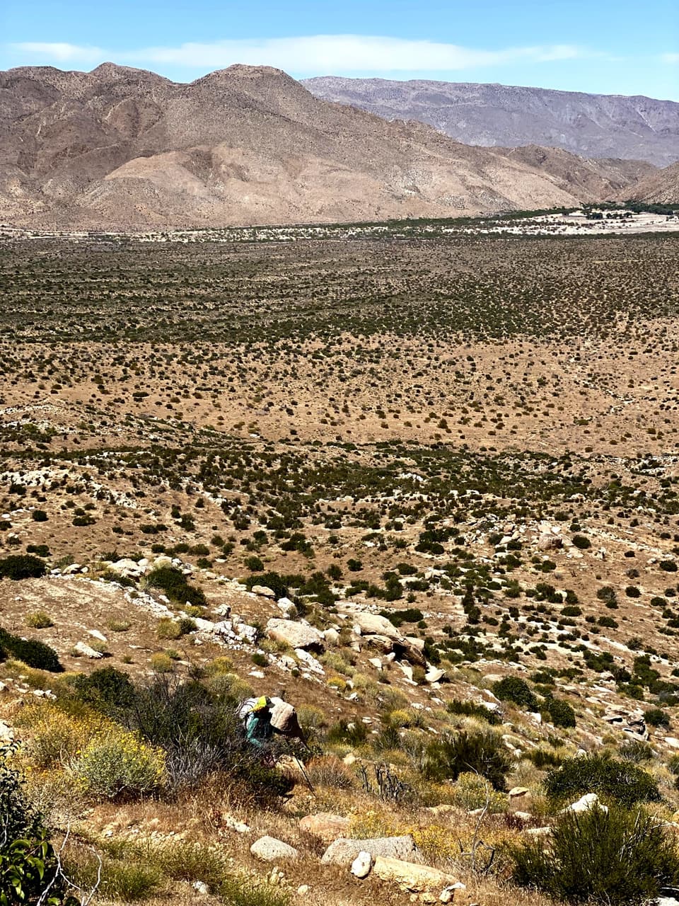 the desert floor below the descent to Scissors Crossing