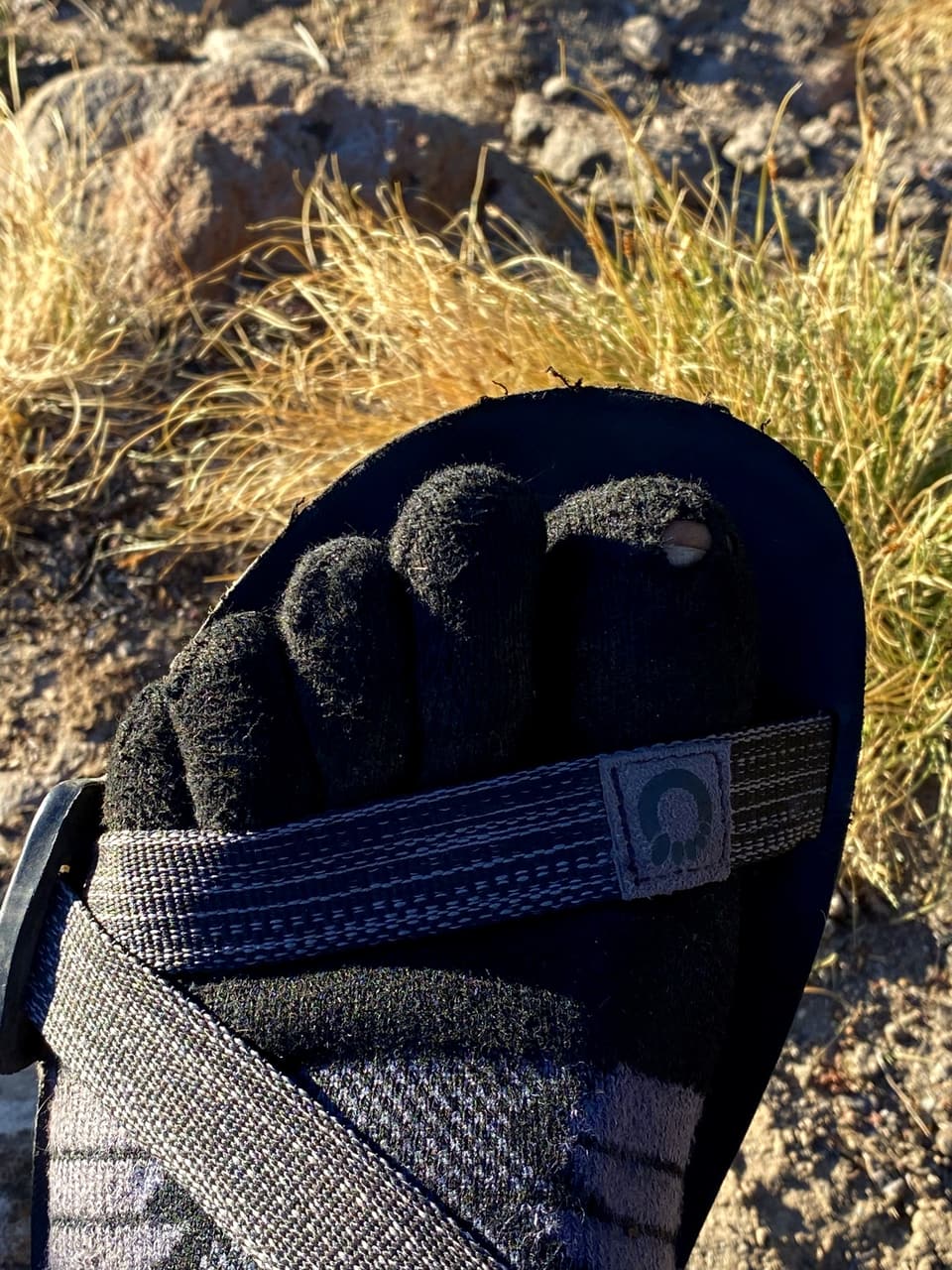 a foot in an Injinji toe sock and a sandal