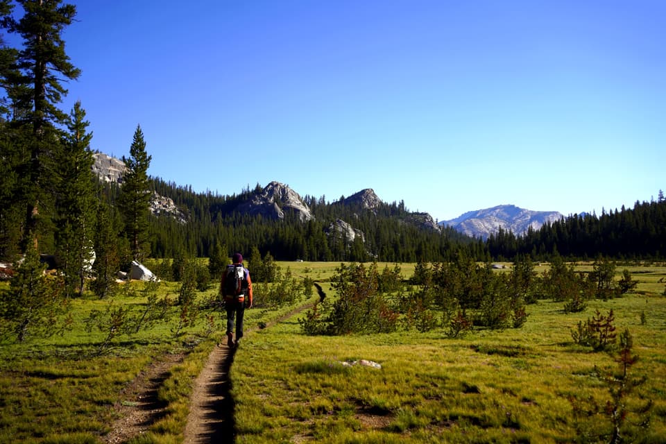 a Yosemite meadow, day 61 · photo #1526