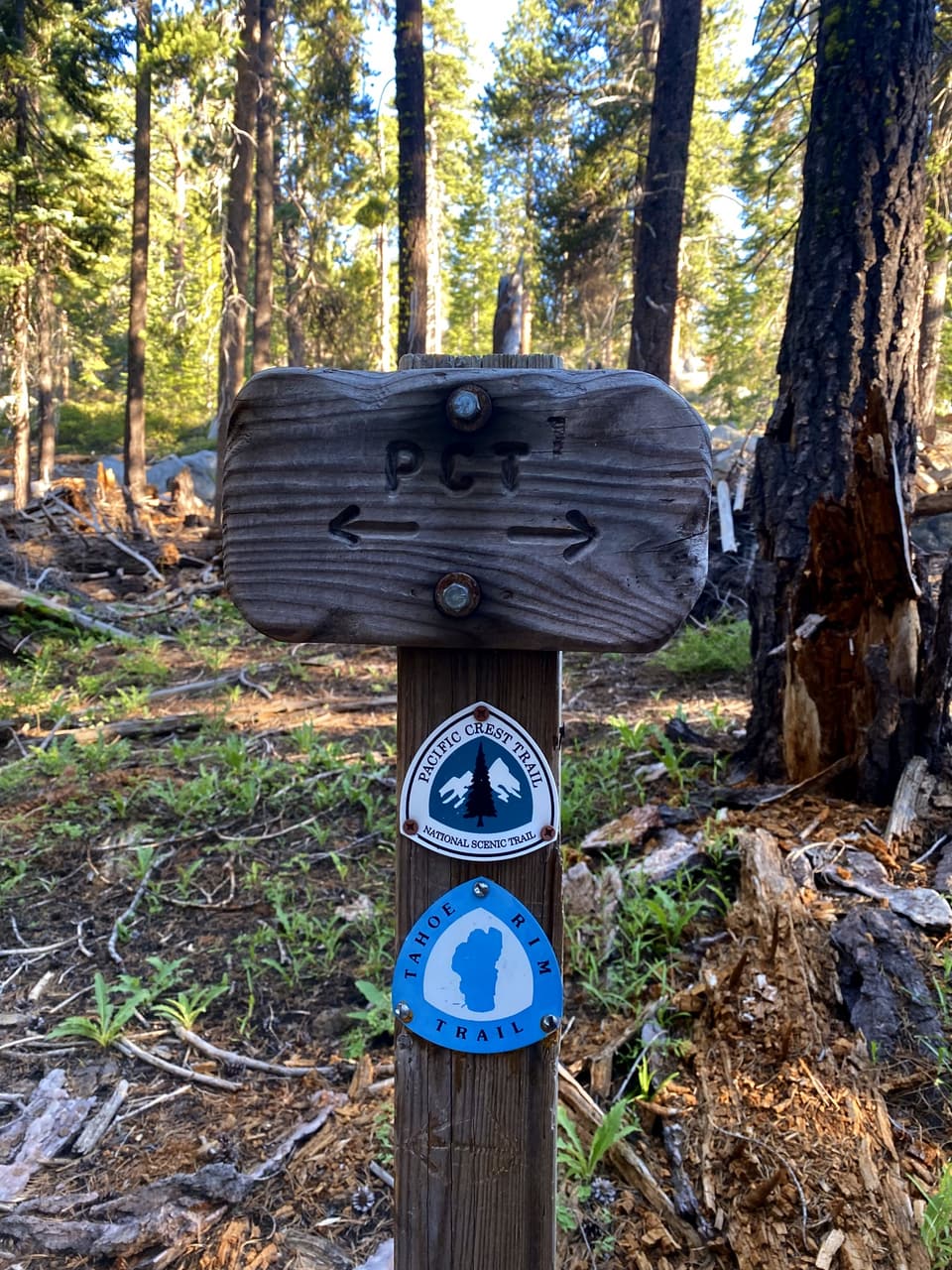 where the PCT and the Tahoe Rim Trail share a post, day 67