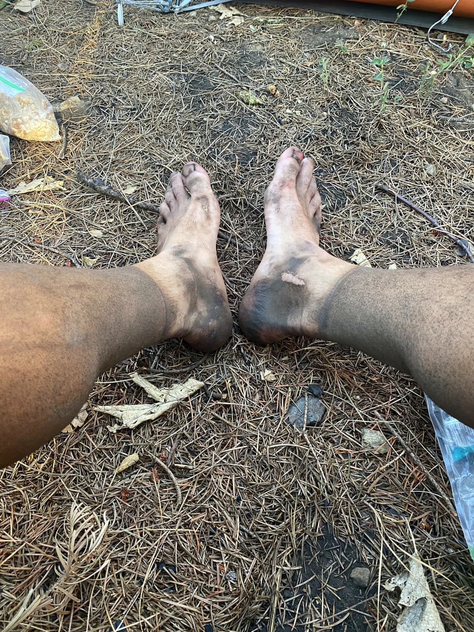 ash to the shins after the old burn scar, day 76