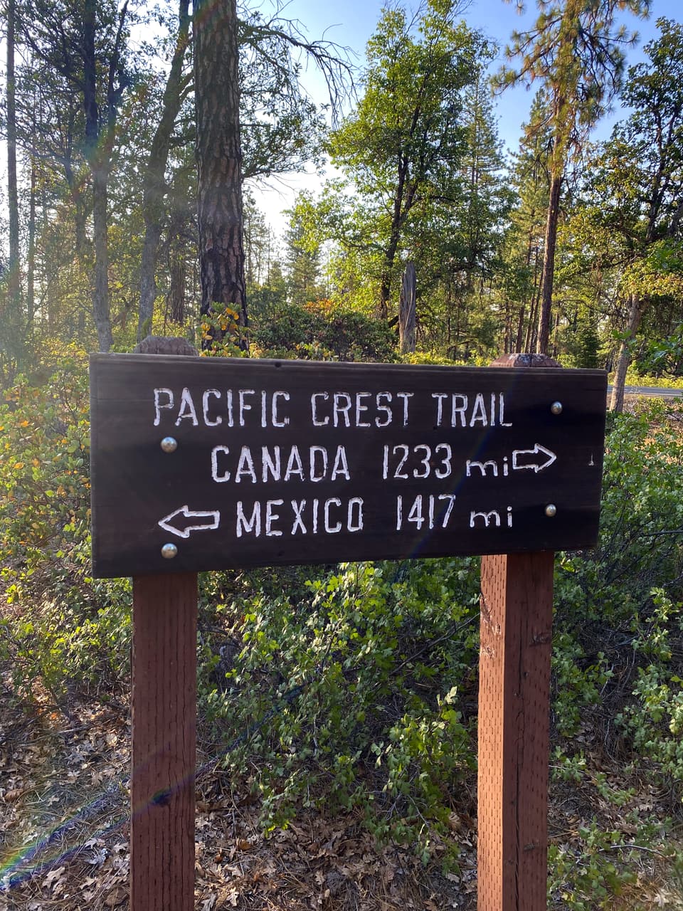 Canada 1,233, Mexico 1,417, day 82