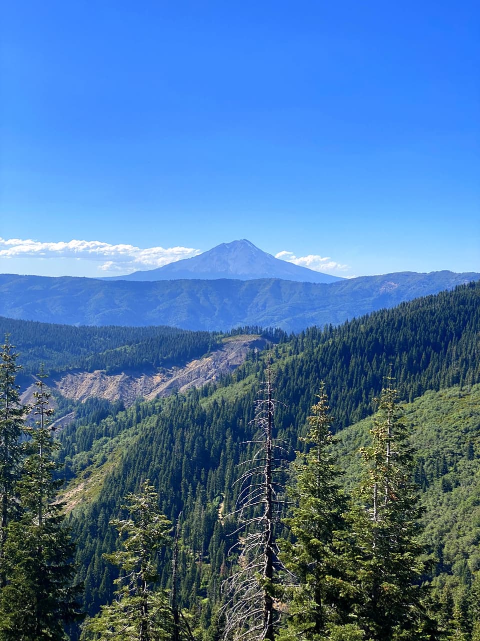 Mount Shasta over a long green ridge, day 82