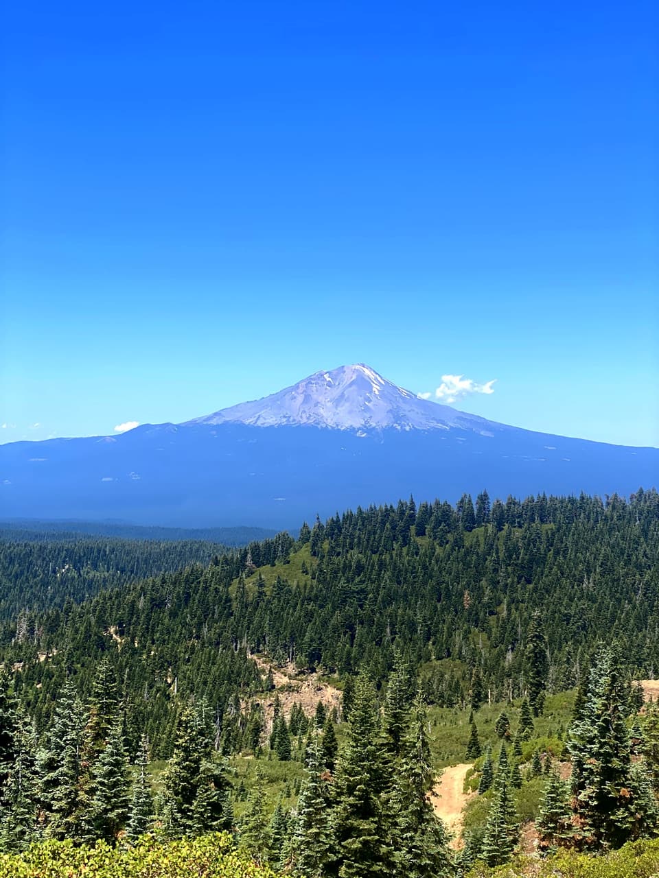Mount Shasta rising above a forested ridge