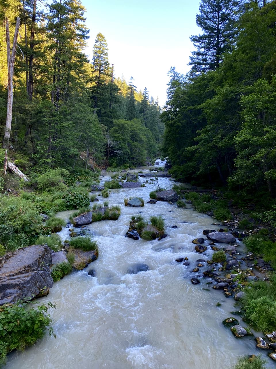 river shallows, day 84