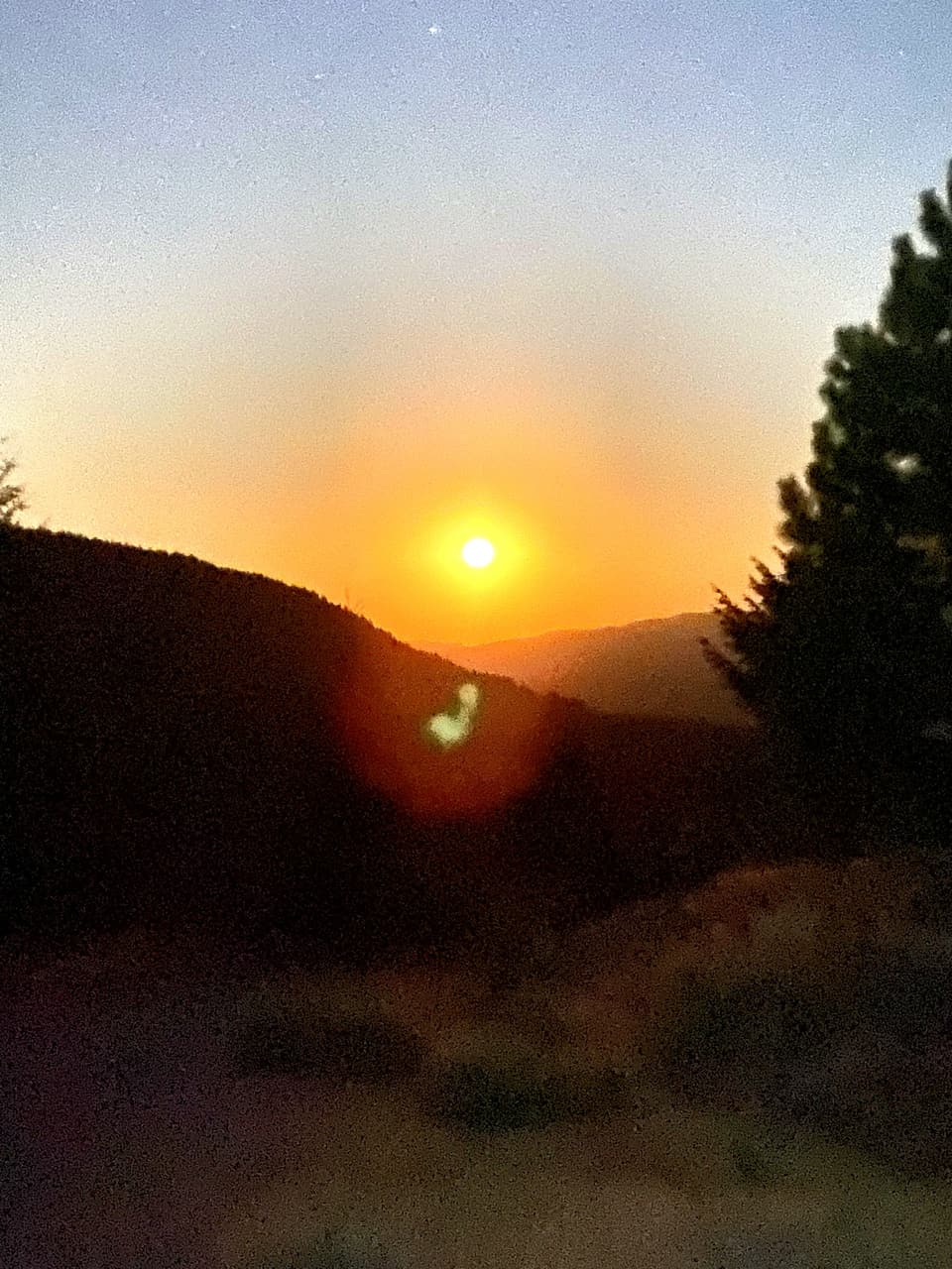 an orange sunrise through smoke, day 85