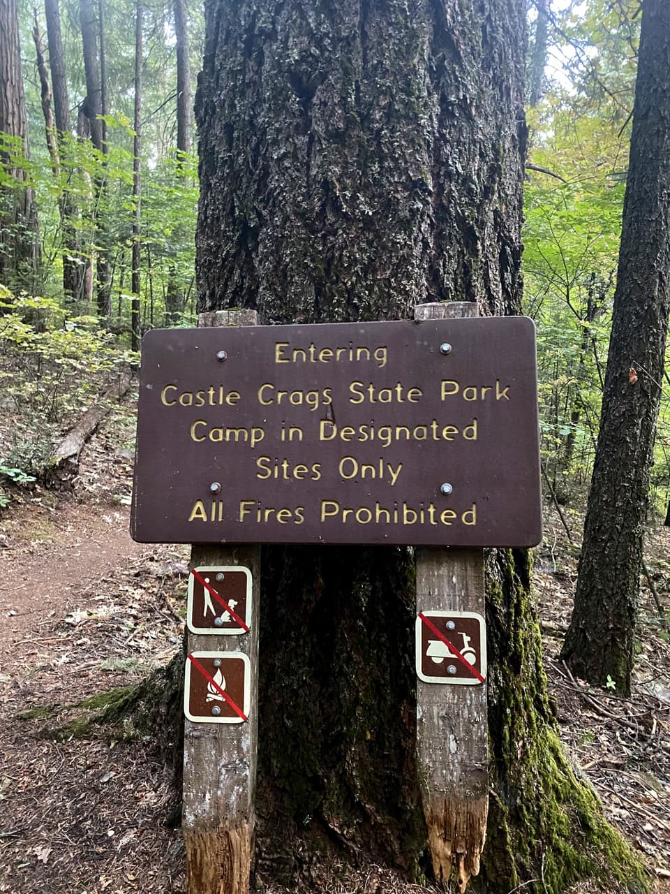 entering Castle Crags State Park, day 85