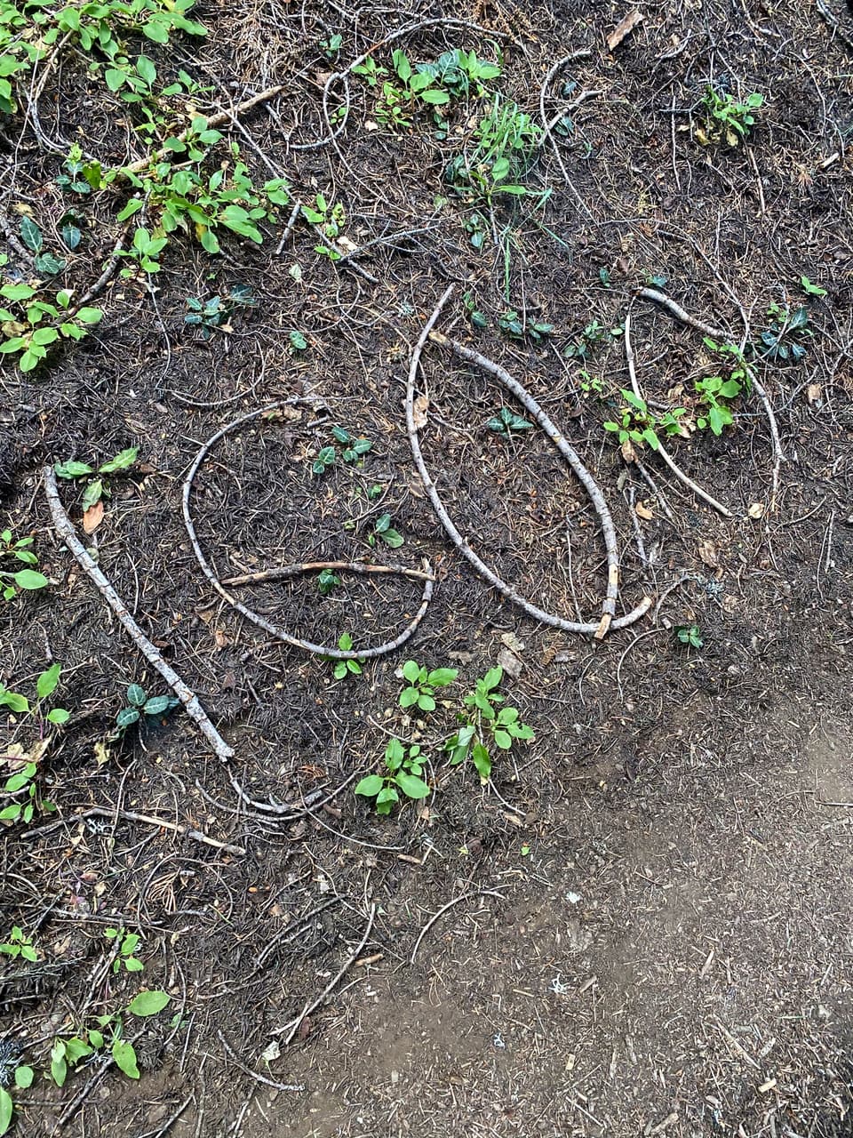 the number 1600 laid out in sticks on the trail