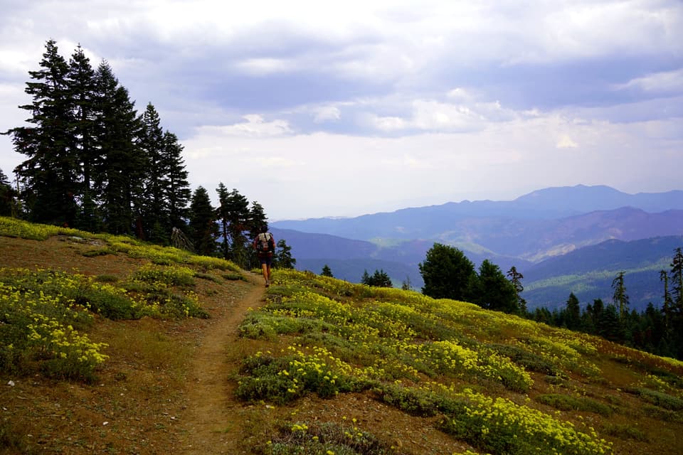 the wildflower ridge toward Oregon, day 93