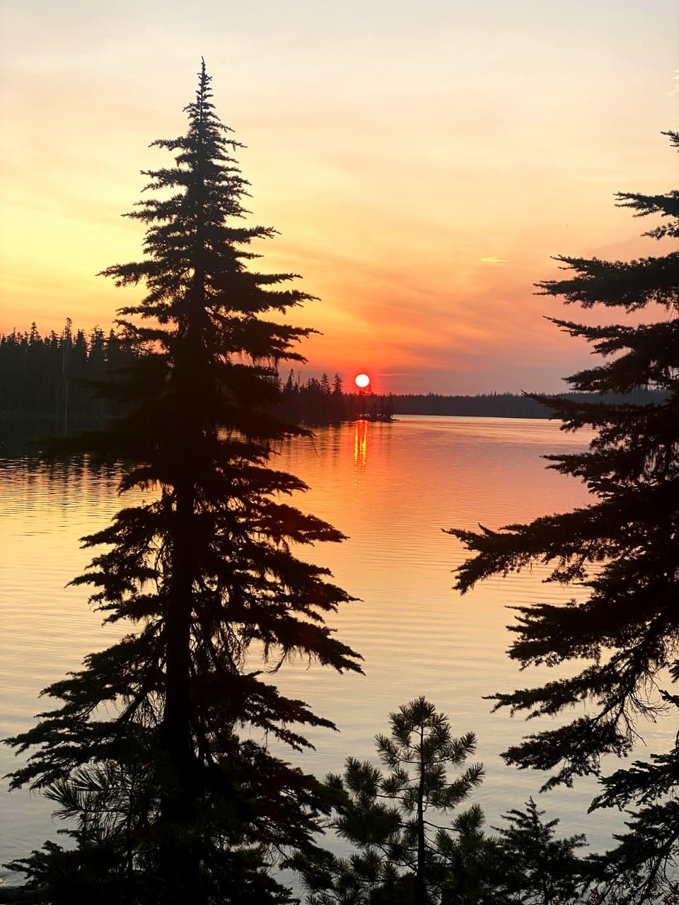 the red sun rising over a lake behind a fir