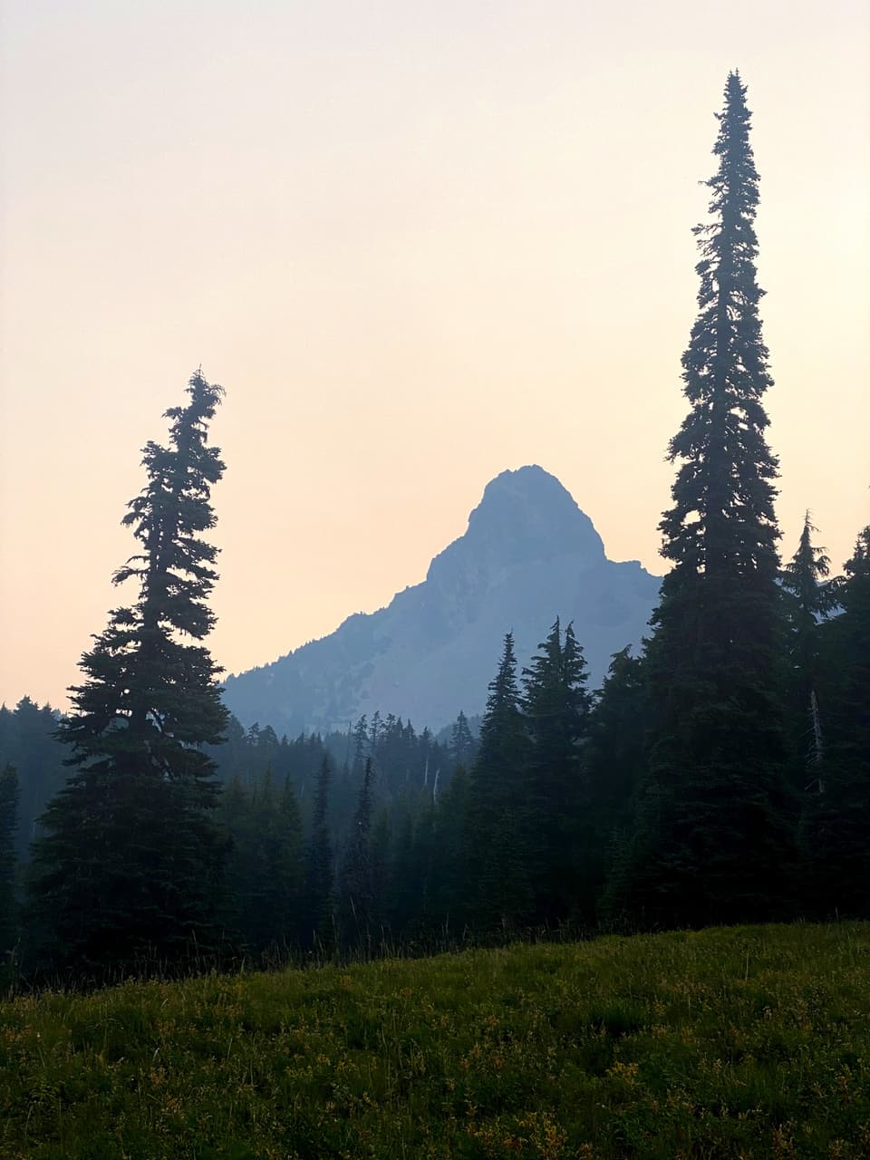 Three Fingered Jack in morning smoke, day 107
