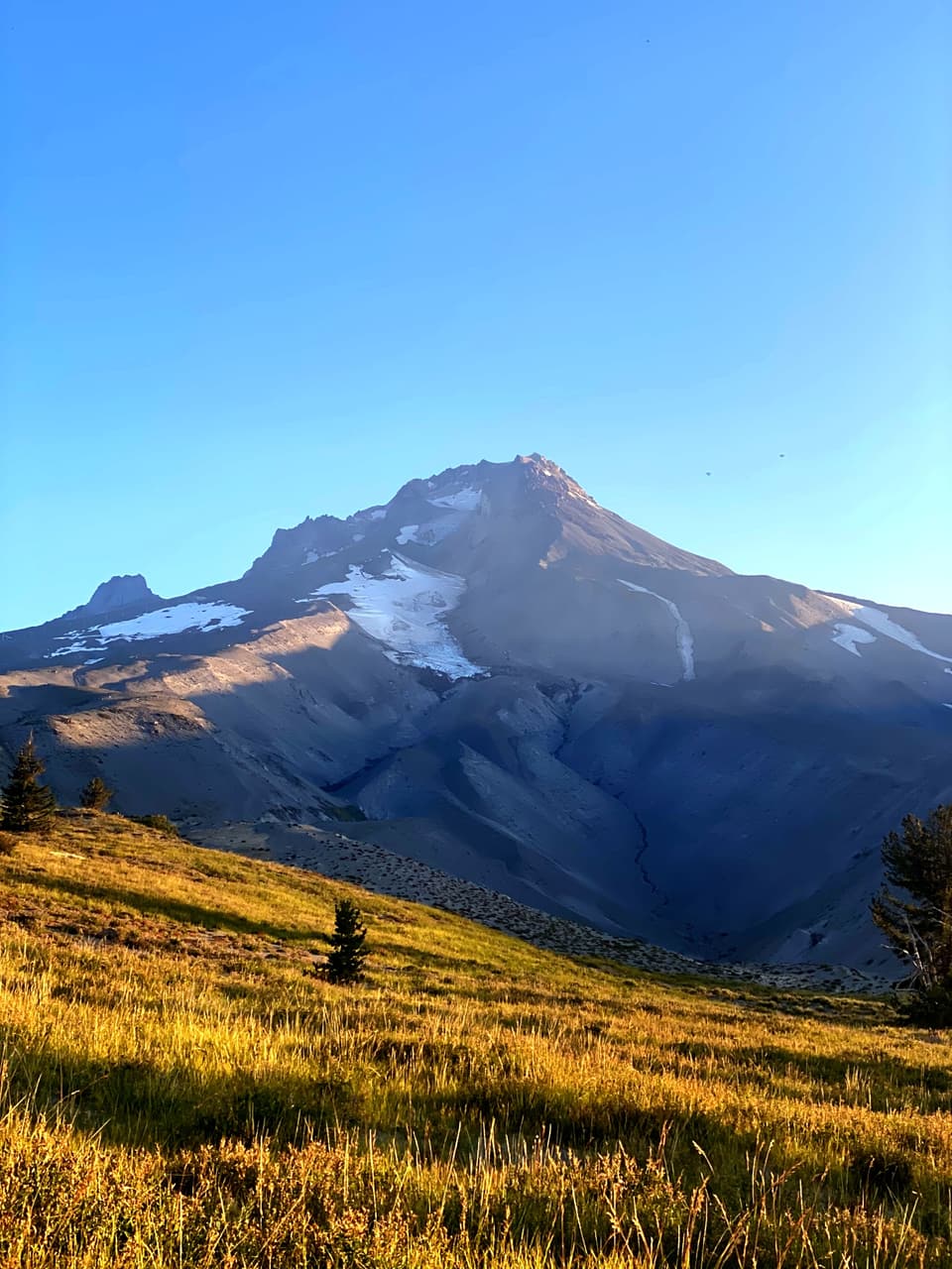 Mount Hood at sunrise above a golden meadow