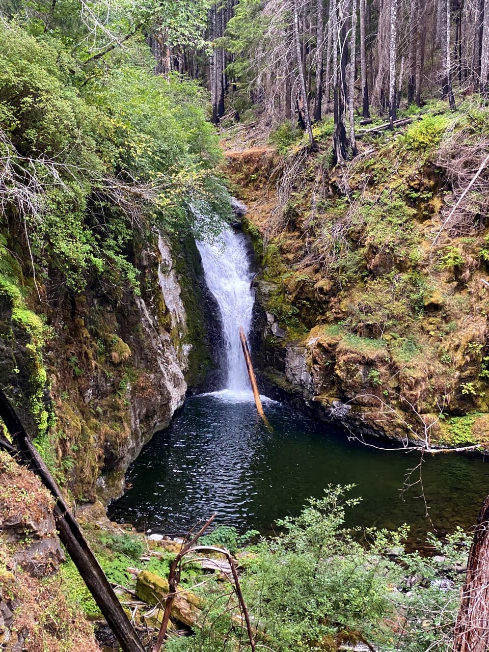 a waterfall on Eagle Creek, day 110 · photo #2095