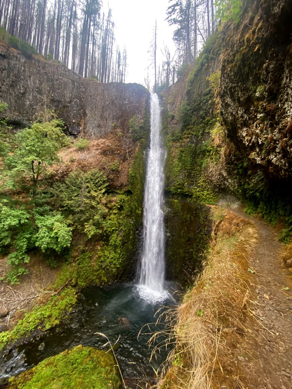 Tunnel Falls, day 110 · photo #2098