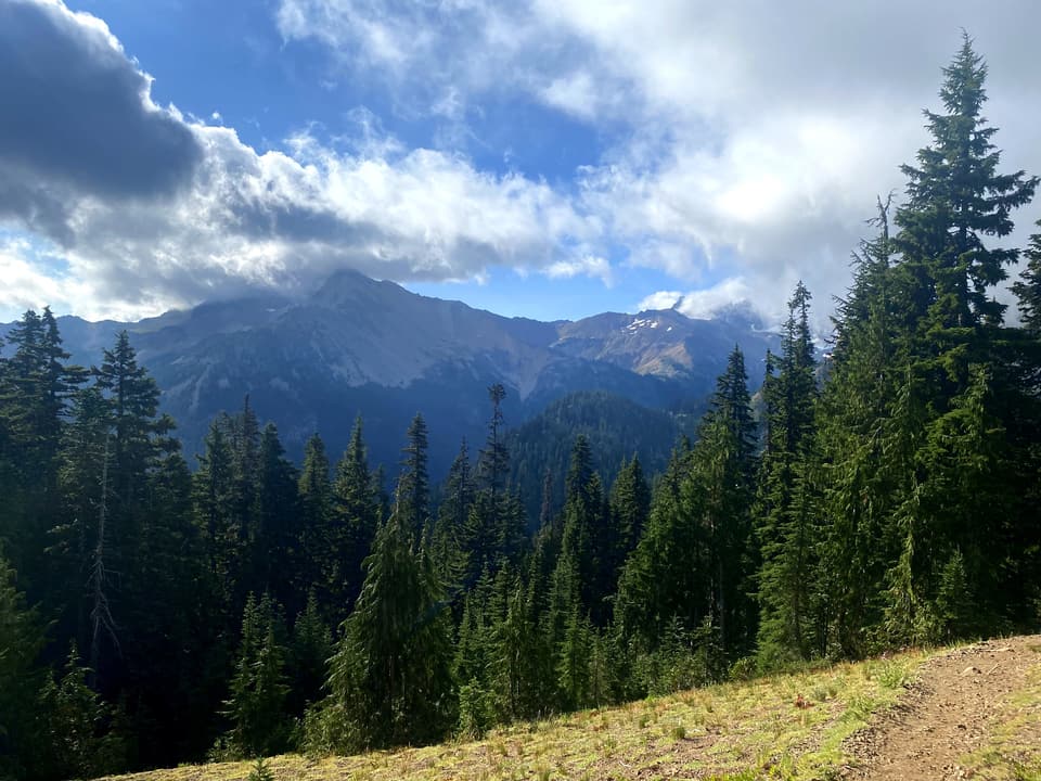 Goat Rocks: peaks clearing over the firs, day 115