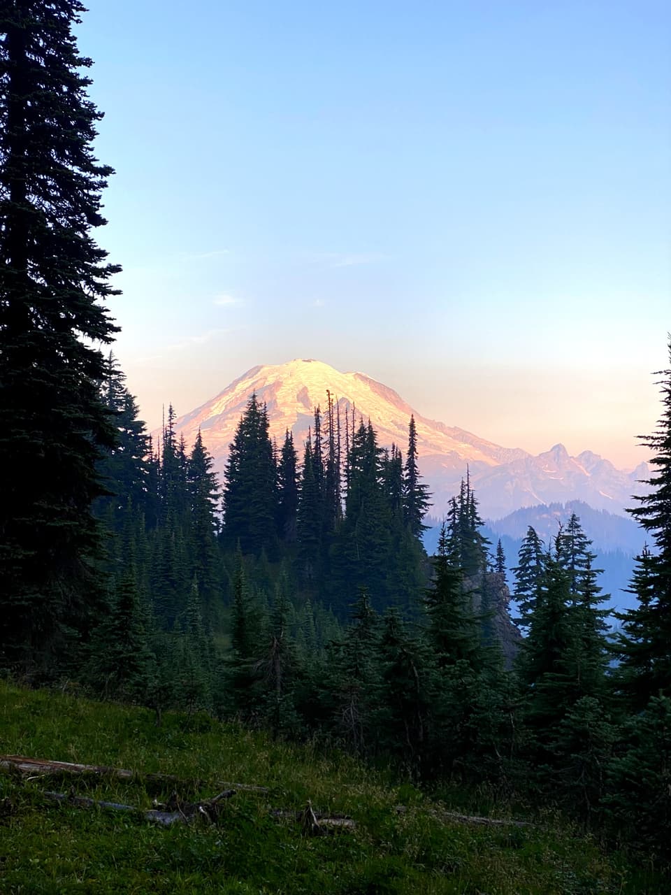 Mount Rainier lit pink above the forest at dawn