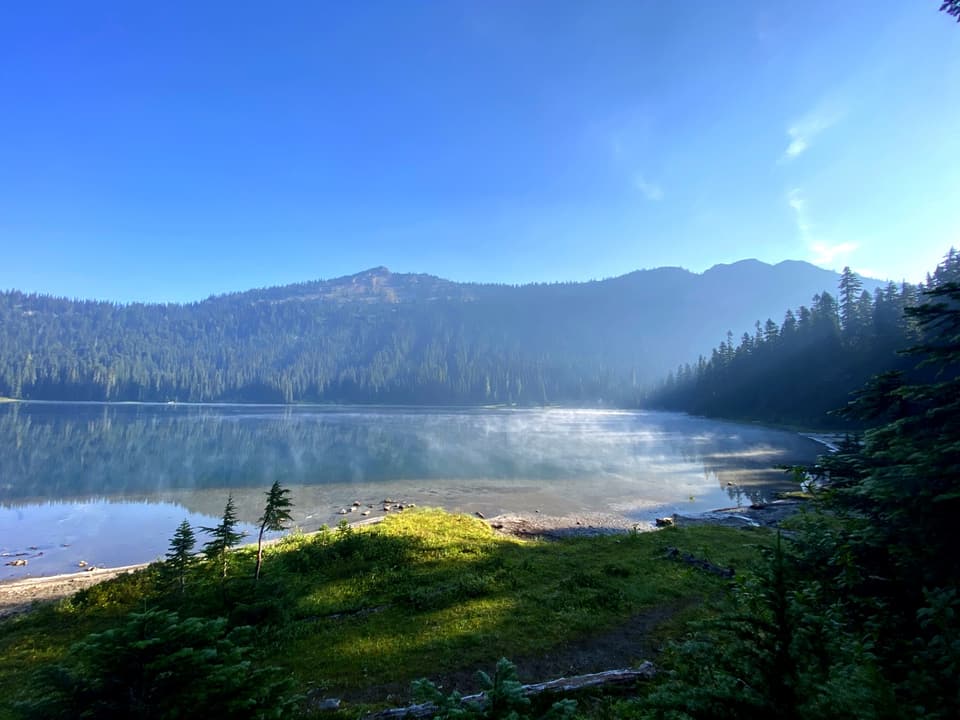 mist over a lake in the morning