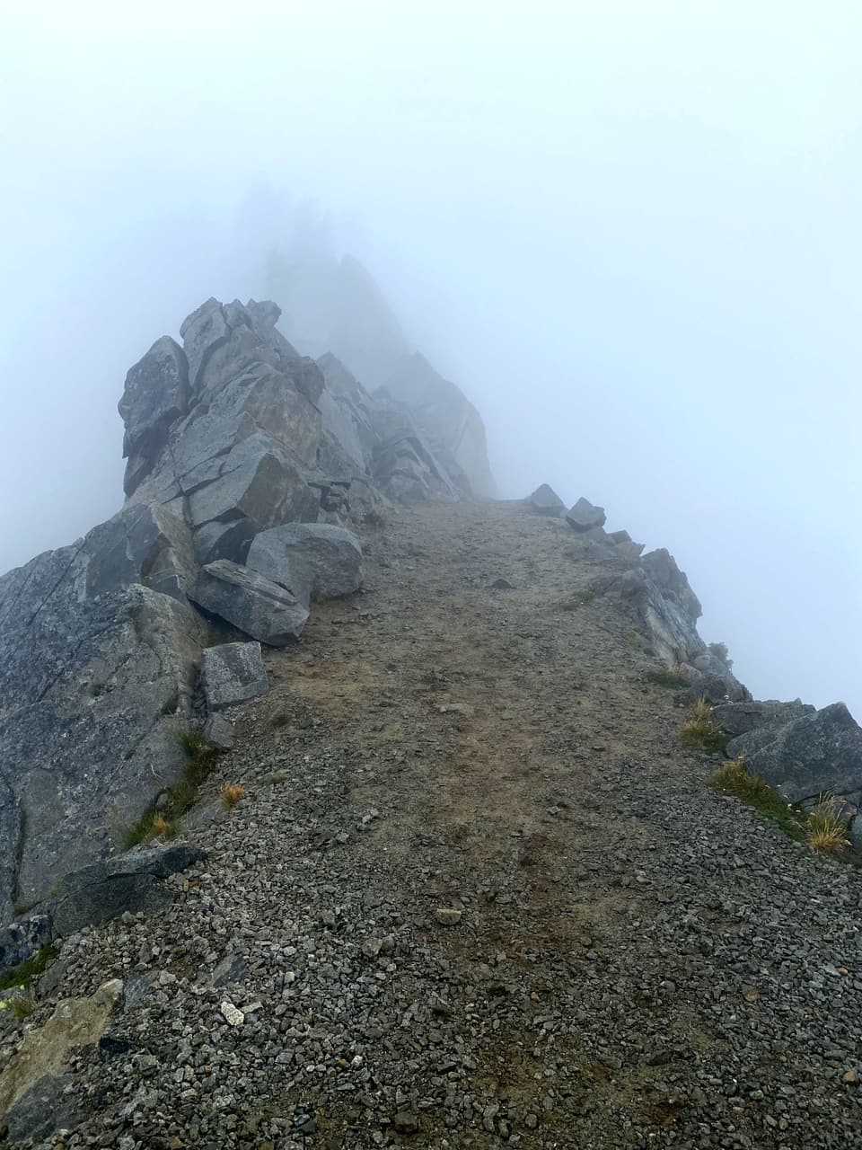 a ridge trail in fog, day 120