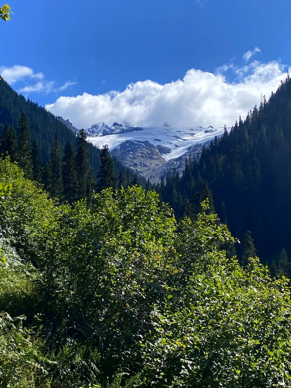 a glacier through the trees, day 125