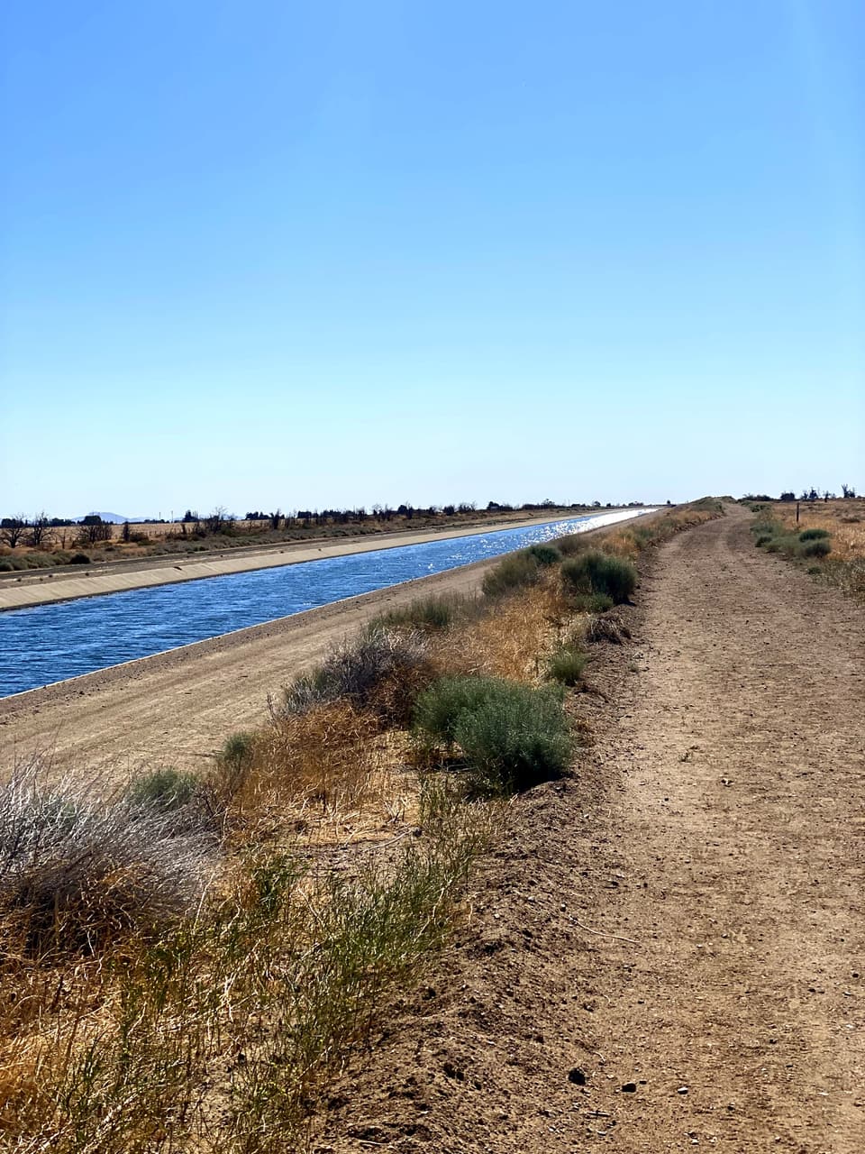 the open aqueduct canal, day 31