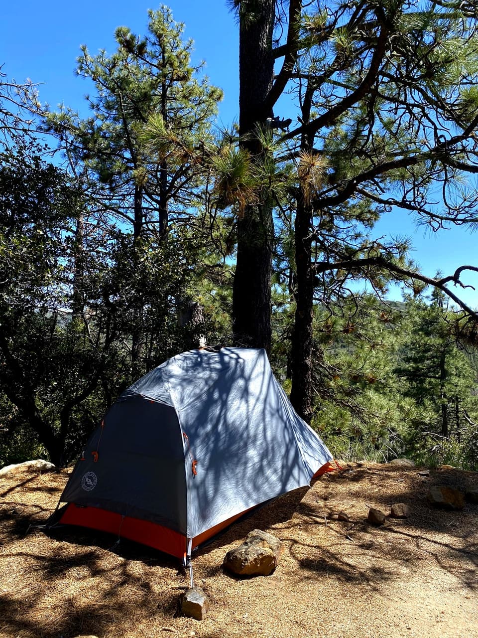 camp under the pines at Mount Laguna, day 3