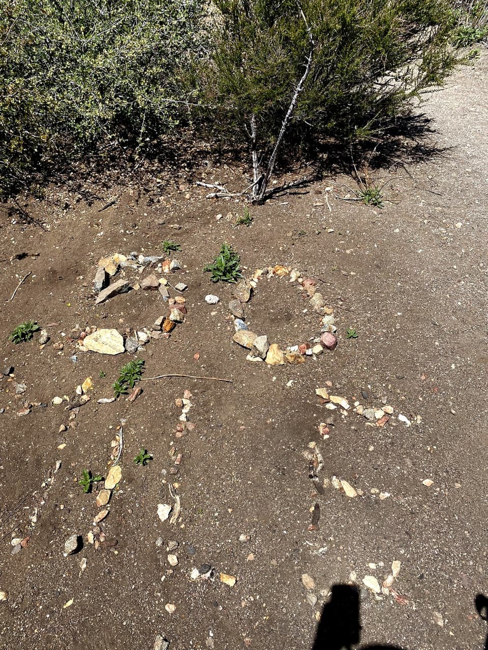 the number 50 spelled out in rocks on the trail