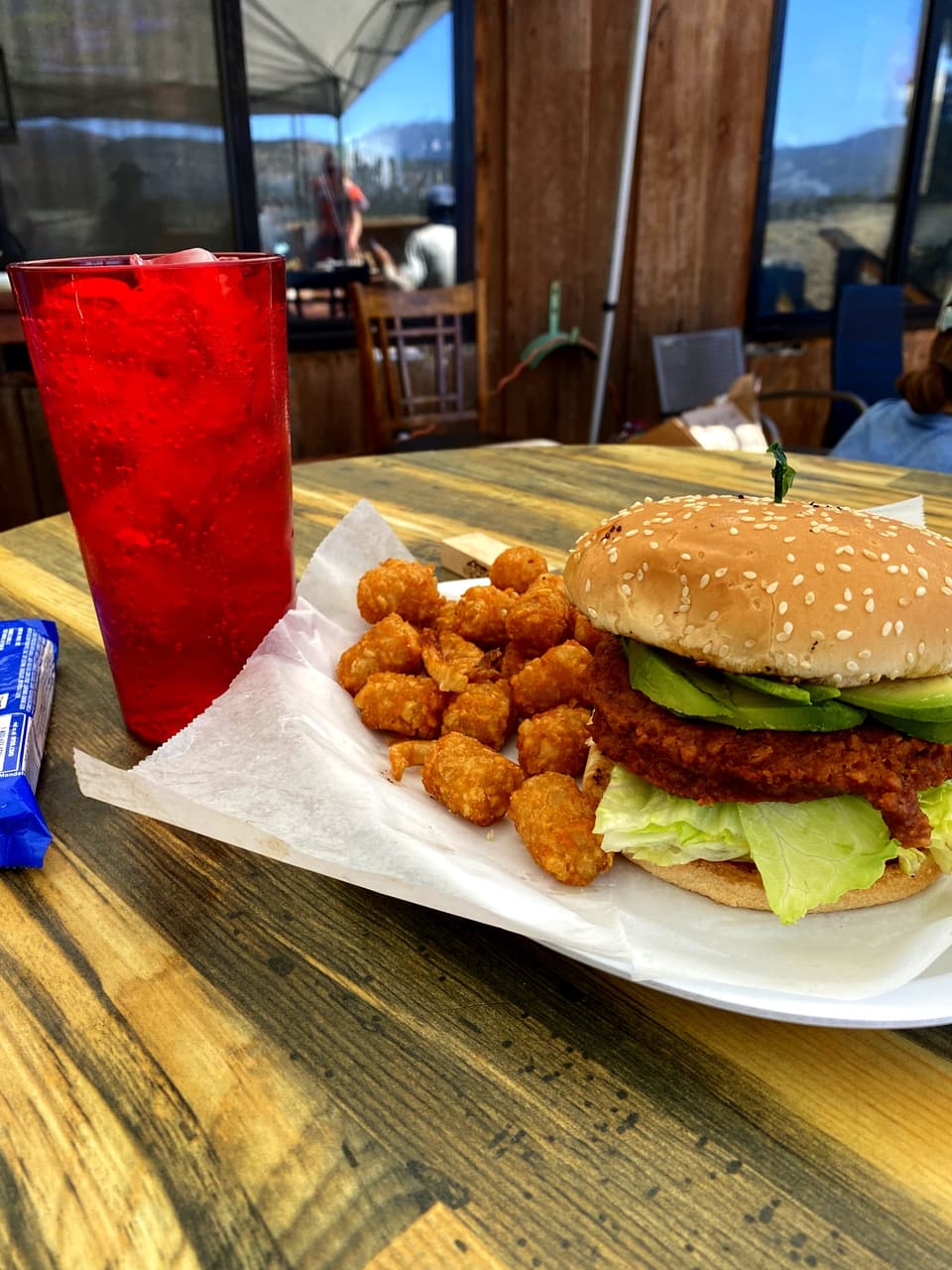 the plant based burger and tots, day 40